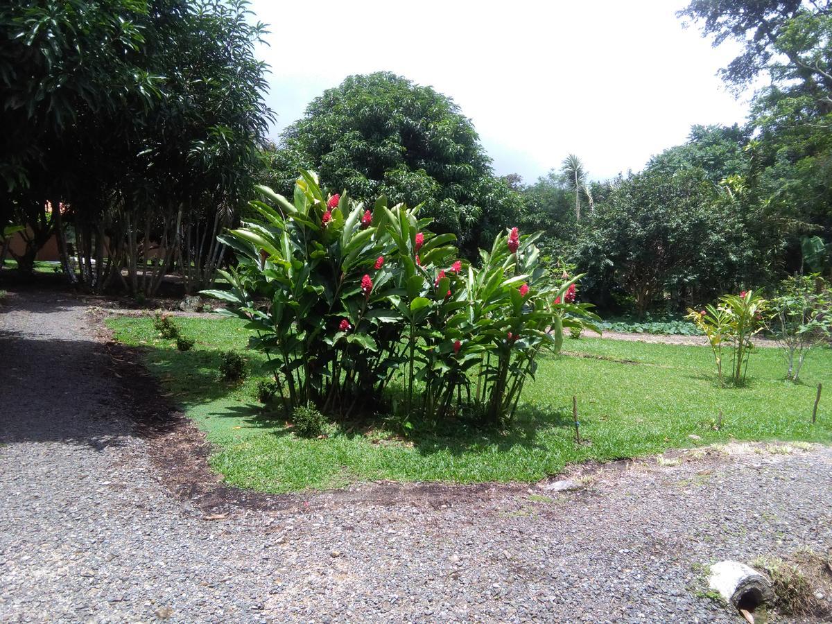 Paraiso Volcano Lodge Guayabo  Eksteriør billede