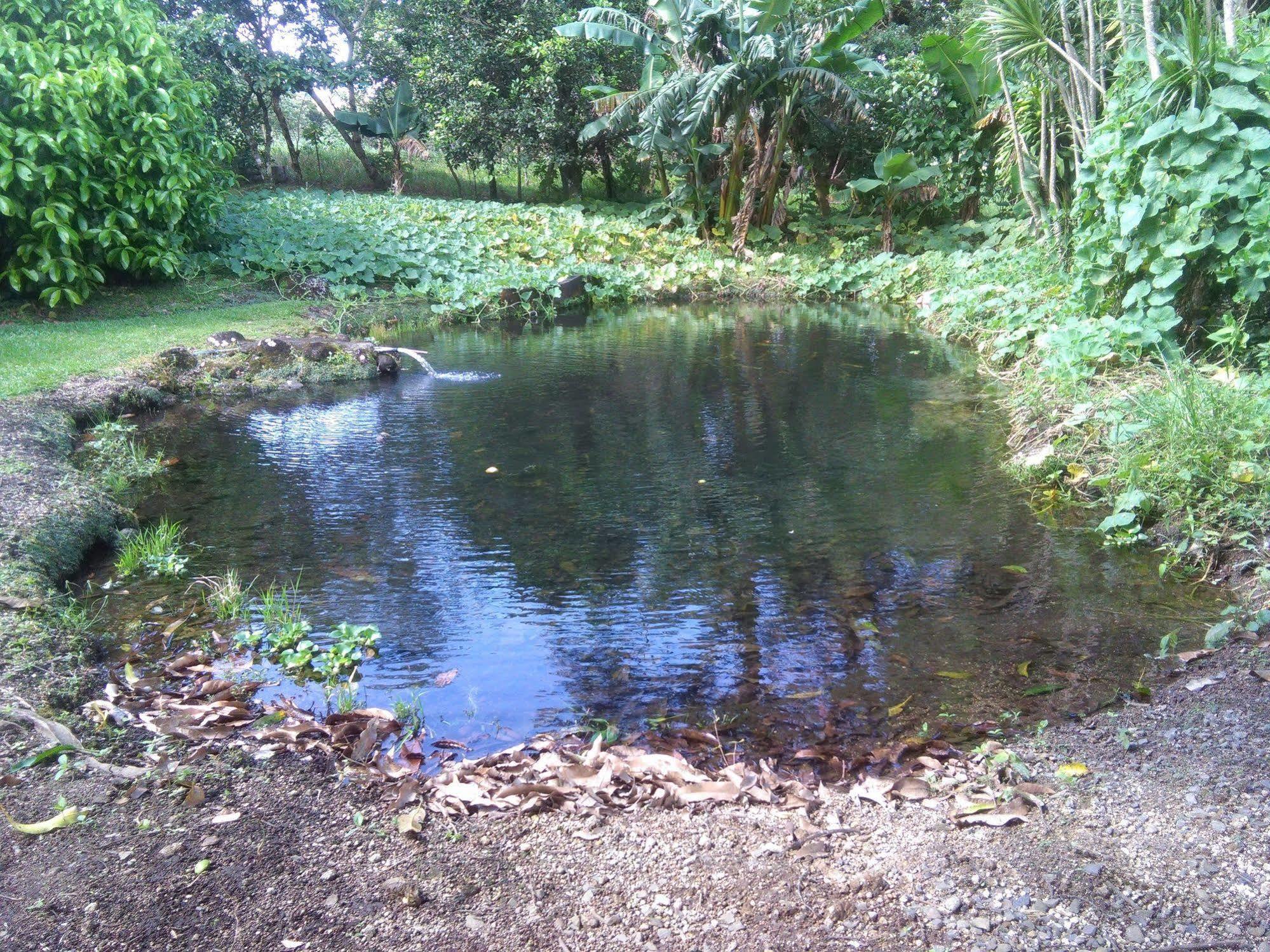 Paraiso Volcano Lodge Guayabo  Eksteriør billede