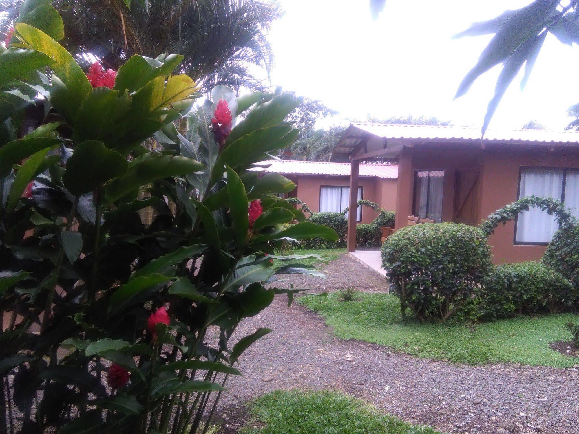 Paraiso Volcano Lodge Guayabo  Eksteriør billede