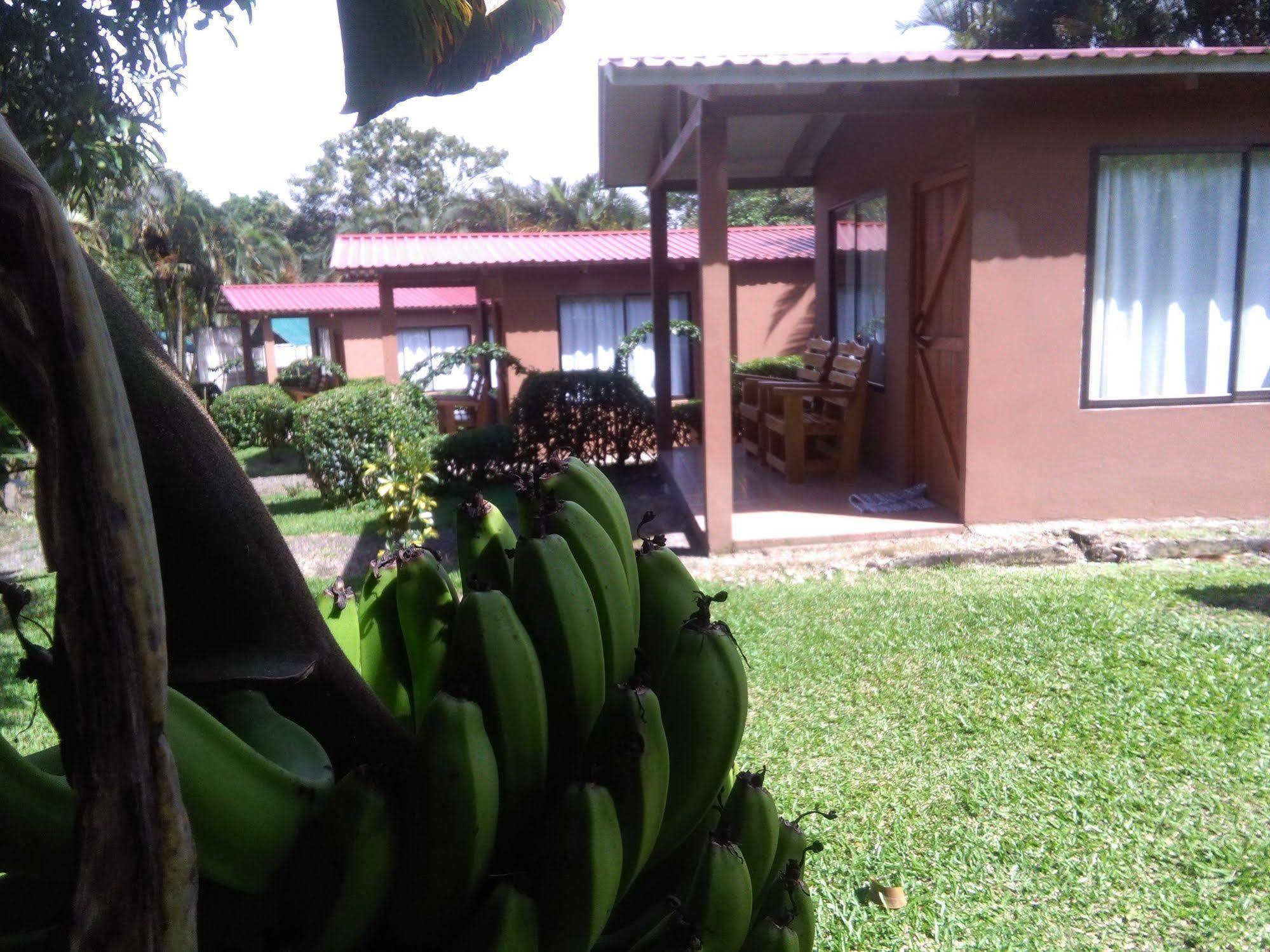 Paraiso Volcano Lodge Guayabo  Eksteriør billede